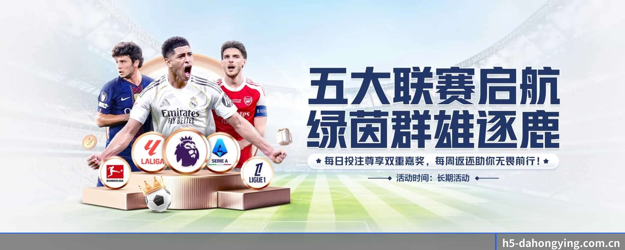 大红鹰dhy APP 界面